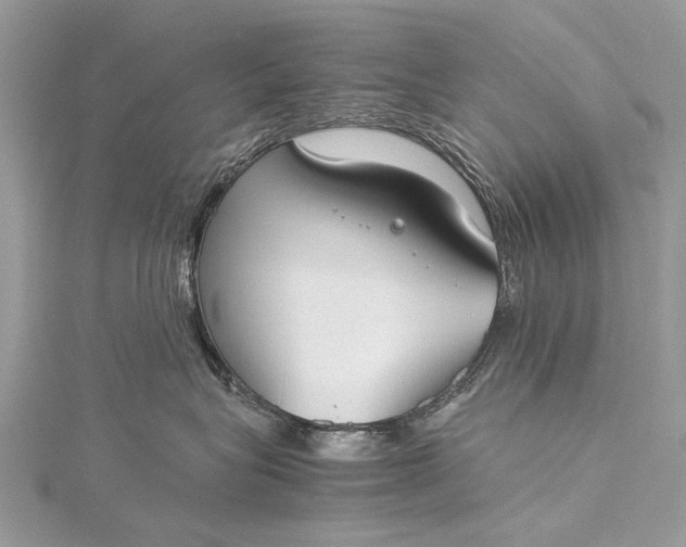 X0000115540575200911201742