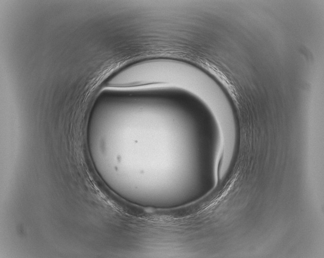 X0000115540577200911201741