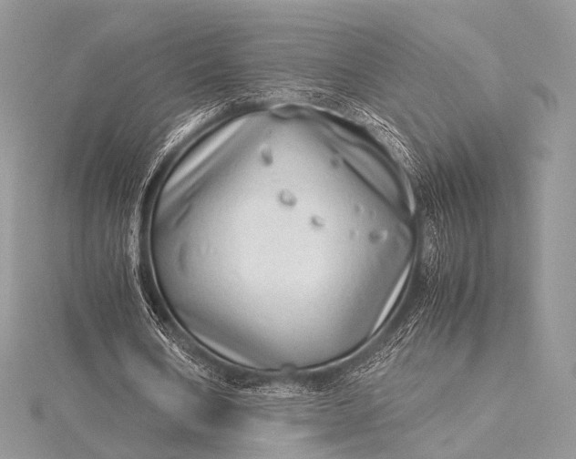 X0000115540578200911201741