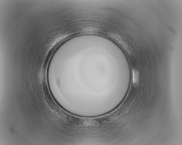 X0000115540579200911201741