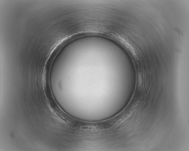 X0000115540580200911201741