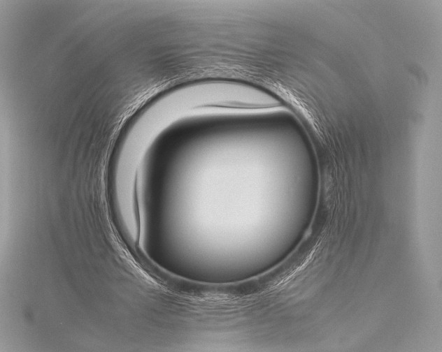 X0000115540581200911201741