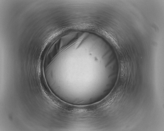 X0000115540582200911201741