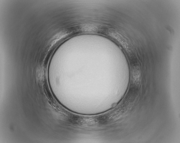 X0000115540583200911201741