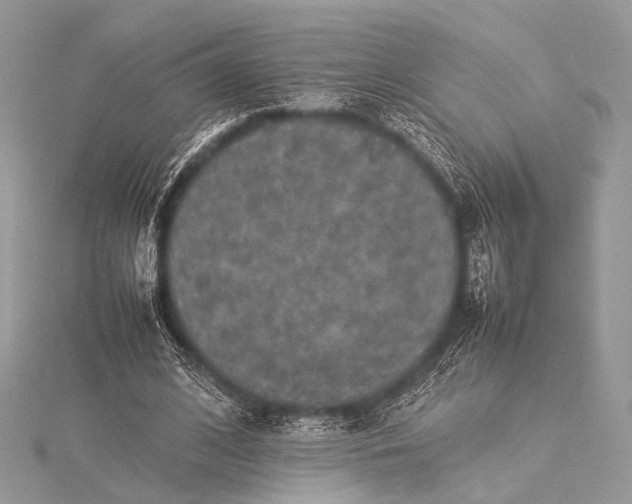 X0000115540584200911201741