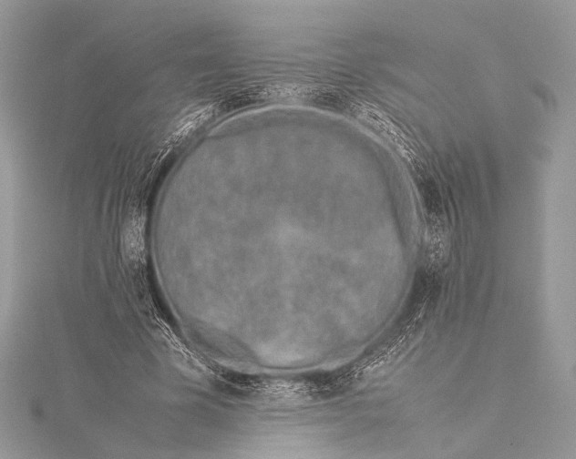 X0000115540585200911201741