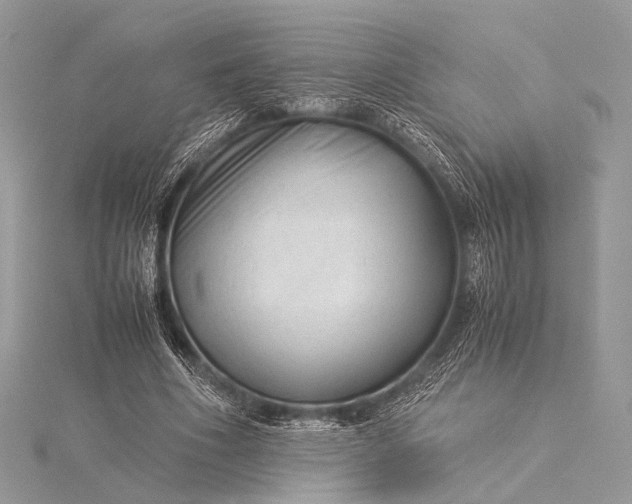 X0000115540586200911201741