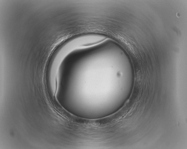 X0000115540587200911201741