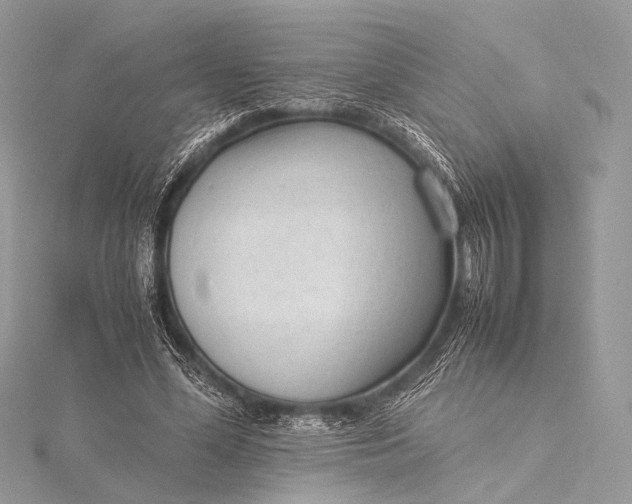 X0000115540588200911201741