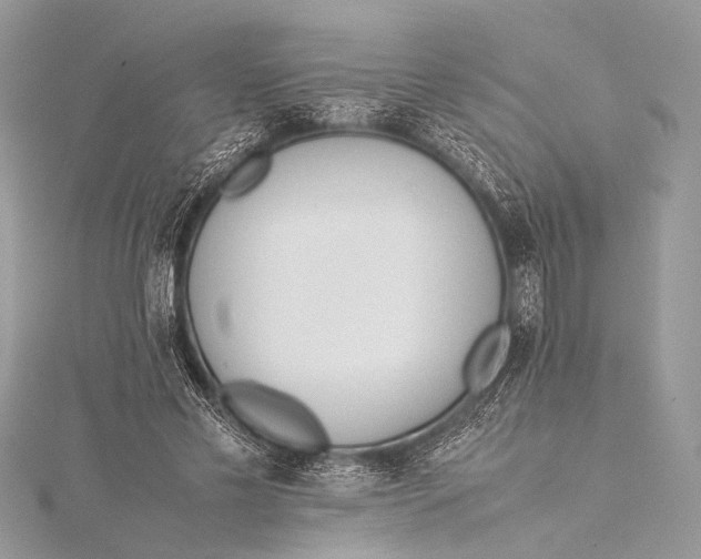 X0000115540589200911201741