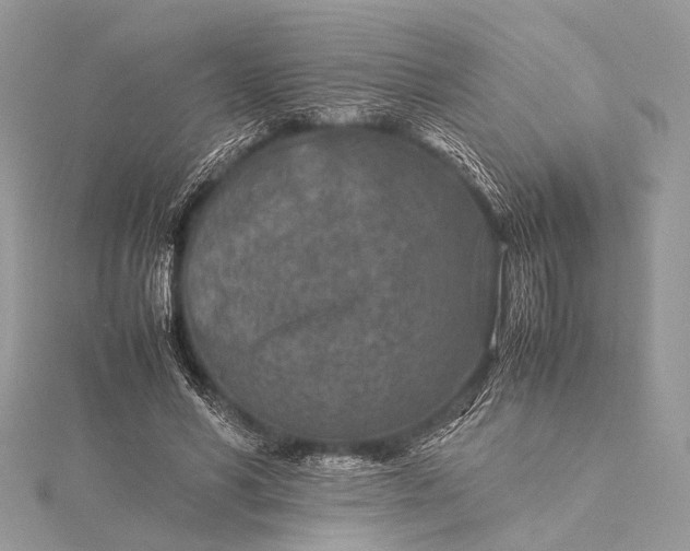 X0000115540590200911201741