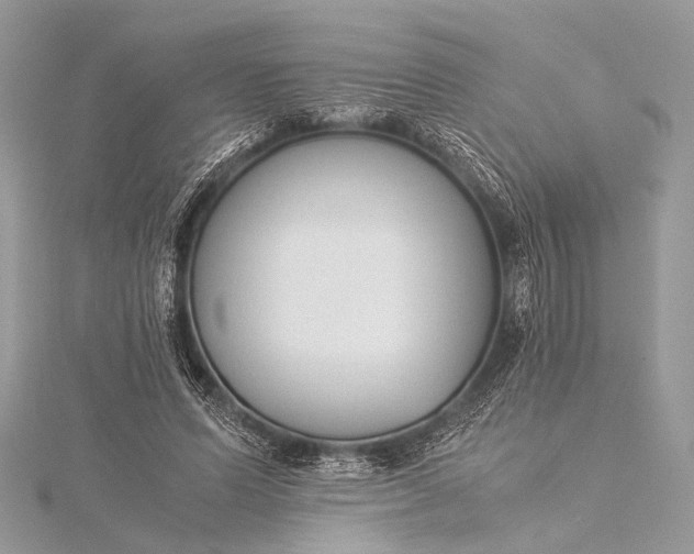 X0000115540591200911201741