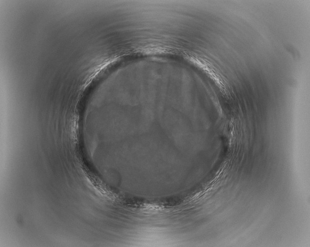 X0000115540592200911201741