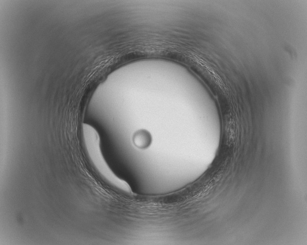 X0000115540593200911201741