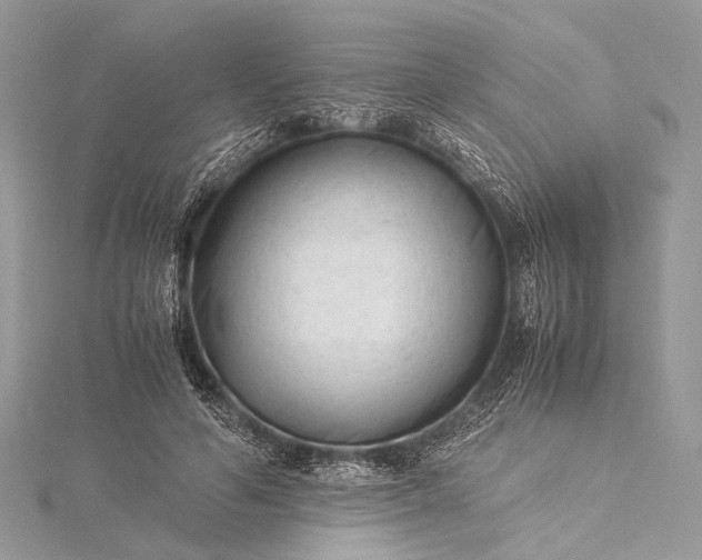 X0000115540594200911201741