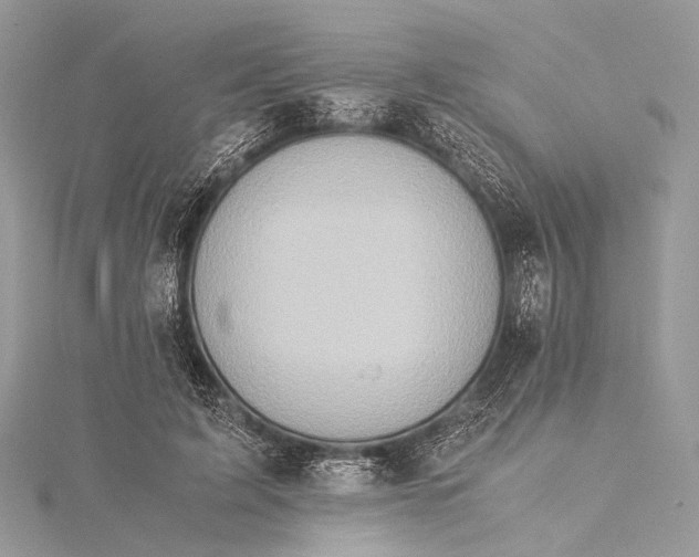 X0000115540595200911201741