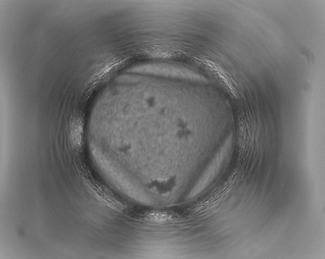 X0000115540596200911201741