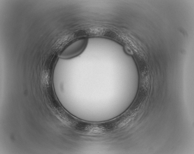 X0000115540597200911201741