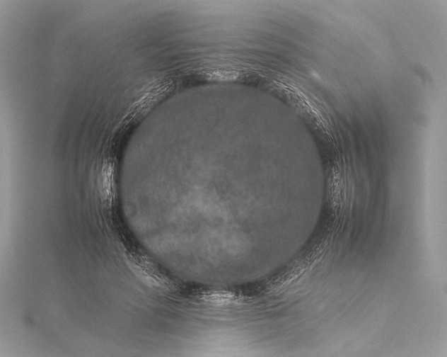 X0000115540598200911201741