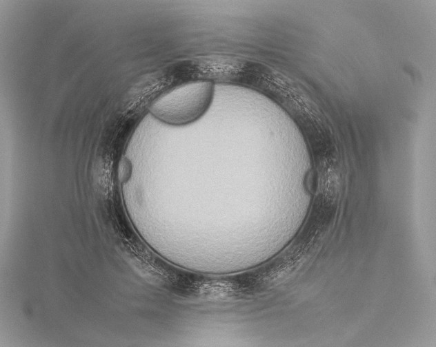 X0000115540599200911201741