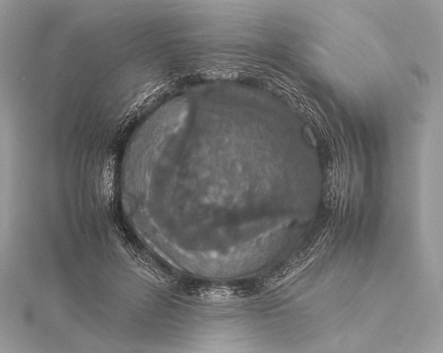 X0000115540600200911201741