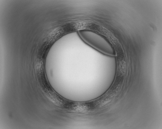 X0000115540601200911201741