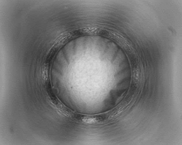 X0000115540602200911201741