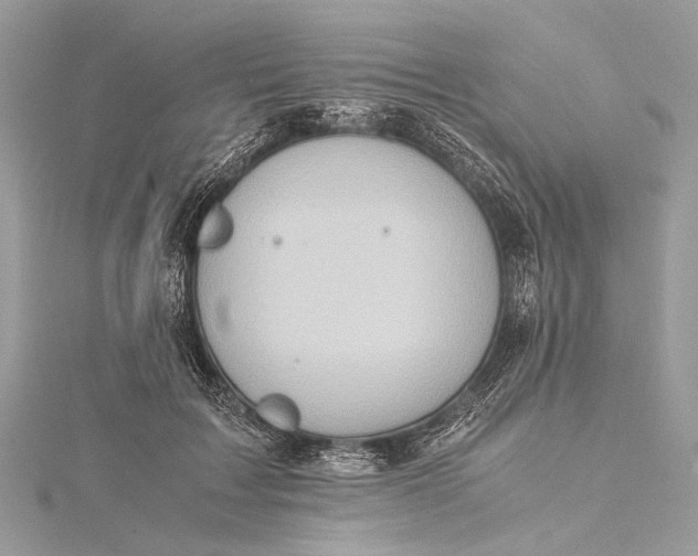 X0000115540603200911201741