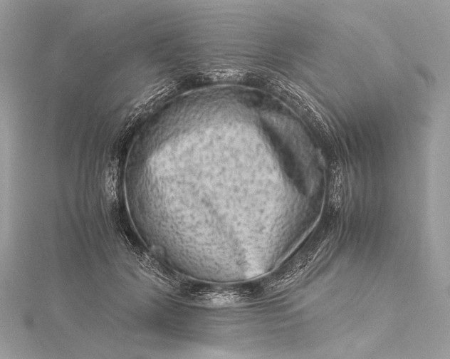 X0000115540604200911201741