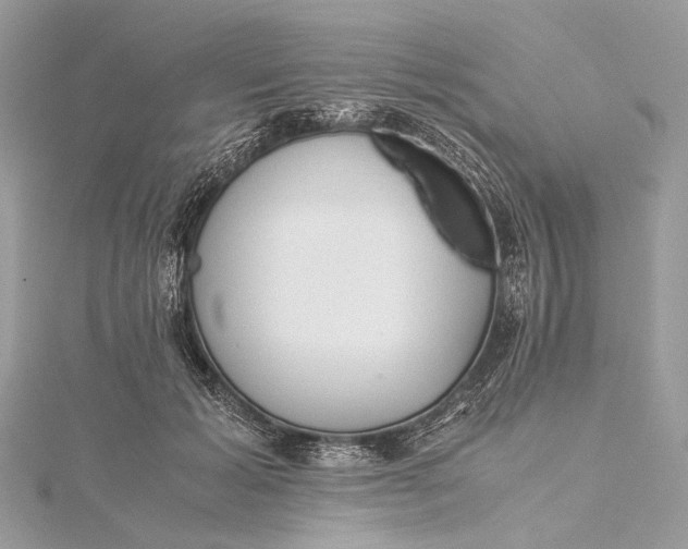 X0000115540605200911201741