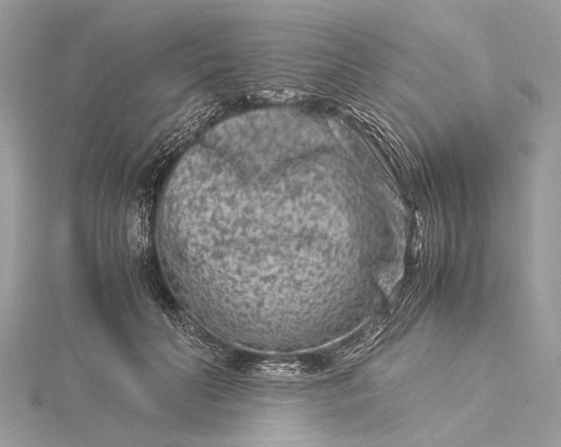 X0000115540606200911201741