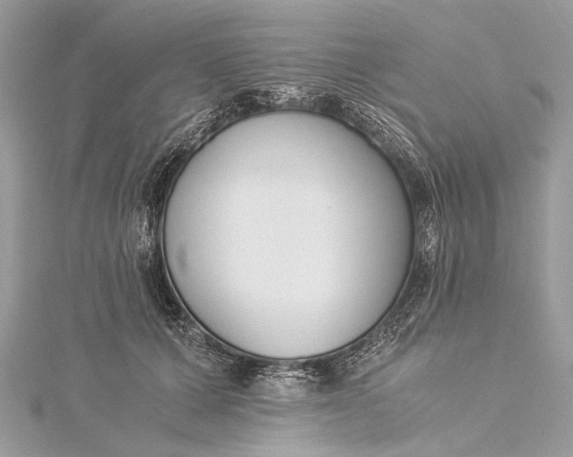 X0000115540607200911201741