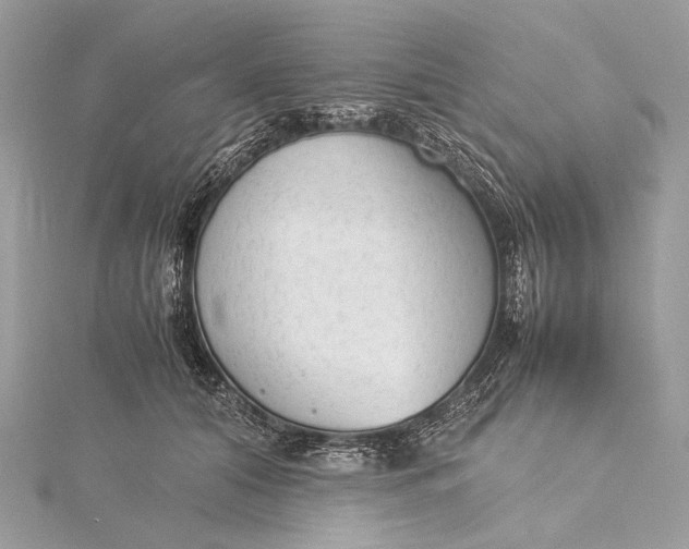 X0000115540608200911201741