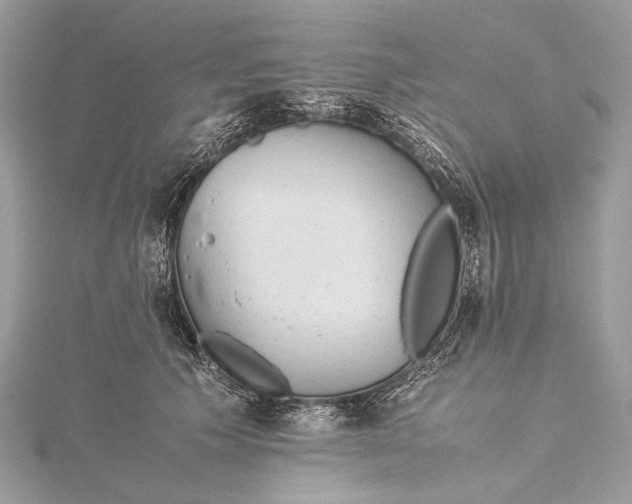 X0000115540609200911201741