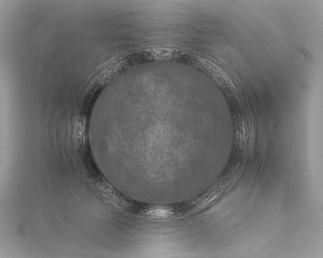 X0000115540610200911201741