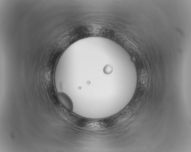 X0000115540611200911201741