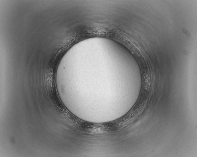 X0000115540612200911201741