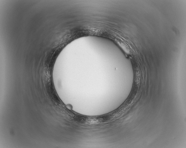 X0000115540613200911201741