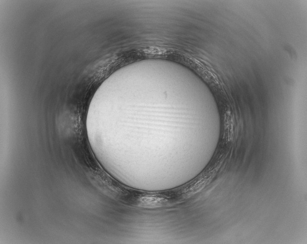 X0000115540614200911201741