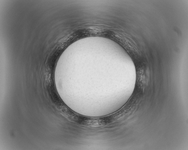 X0000115540615200911201741