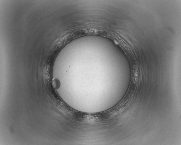 X0000115540616200911201741