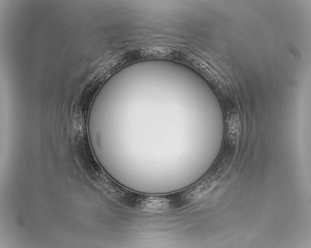 X0000115540617200911201741