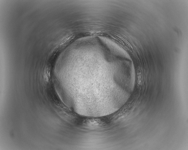 X0000115540618200911201741