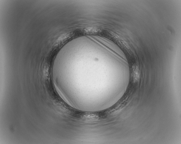 X0000115540619200911201741