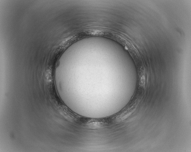 X0000115540620200911201741