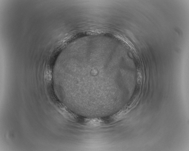 X0000115540621200911201741