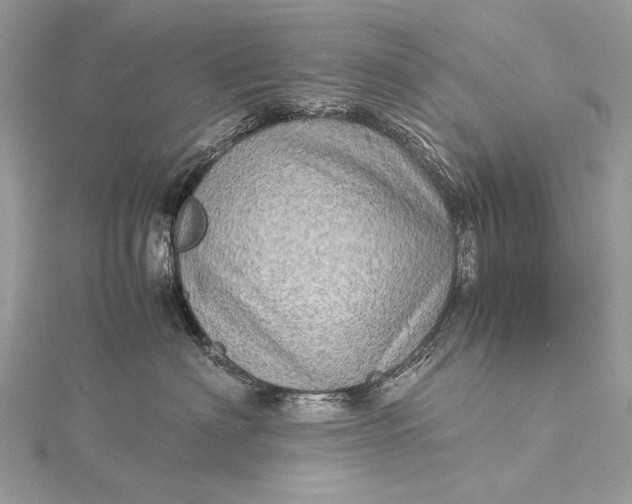 X0000115540622200911201741