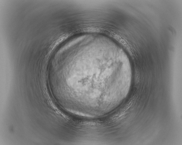 X0000115540625200911201740