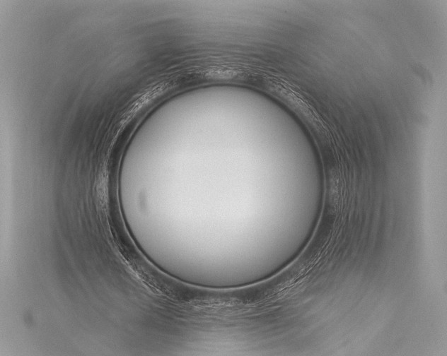 X0000115540626200911201740