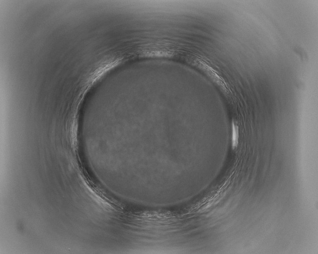 X0000115540627200911201740